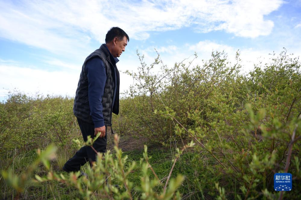全民捕鱼下载